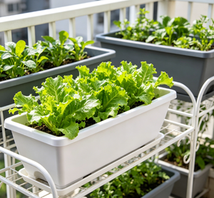 Outil <span class=keywords><strong>de</strong></span> culture <span class=keywords><strong>de</strong></span> légumes pour balcon domestique, <span class=keywords><strong>pot</strong></span> <span class=keywords><strong>rectangulaire</strong></span> pour fleurs, <span class=keywords><strong>pot</strong></span> <span class=keywords><strong>de</strong></span> 1 gallon pour plantes succulentes, <span class=keywords><strong>pot</strong></span> <span class=keywords><strong>de</strong></span> plantation respirant <span class=keywords><strong>de</strong></span> style nordique - Product Image 1