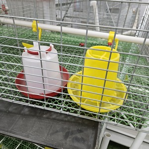 กรงเลี้ยงลูกไก่ 4 ชั้น แบบจุ่มสังกะสีร้อน ผลิตในจีน พร้อมระบบน้ำดื่มอัตโนมัติ - Product Image 4