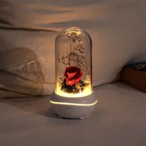 New Concept Aroma Diffuser Essential Oil Night Light Eternal Flower Diffuser Romantic Gift Aromatherapy Led Light Air Freshener