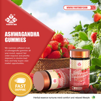 Gummies d'Ashwagandha et de Magnésium pour l'Équilibre de l'Humeur, Fournisseur OEM ODM, Prêts à l'Expédition pour Adultes Soucieux de leur Santé