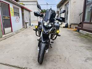 Moto à essence 250cc Golden <span class=keywords><strong>Pigeon</strong></span> 90 % neuve de haute qualité, idéale pour les croisières, les rallyes et les aventures, avec refroidissement par eau - Product Image 5