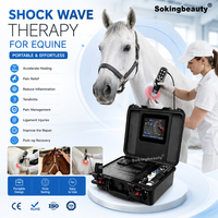 Appareil de thérapie par ondes de choc, Équipement à ondes de choc à vendre, pour l'équitation, la ferme équine, la réparation tissulaire, la pénétration profonde, OEM ODM