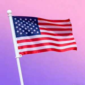 Großhandel 14x21cm Doppelseitig Bedruckte Polyester Mini-Winkelflaggen Alle Nationalen Länder Individuelles Muster Wimpel-Stil - Product Image 1