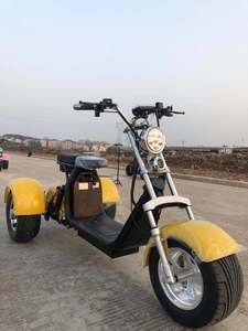 Tricycle électrique <span class=keywords><strong>2</strong></span> <span class=keywords><strong>places</strong></span> haute performance 2025 pour adultes, scooter électrique à <span class=keywords><strong>3</strong></span> <span class=keywords><strong>roues</strong></span>, <span class=keywords><strong>moto</strong></span>-tricycle électrique pour passagers - Product Image 2