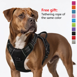 Set <span class=keywords><strong>Harness</strong></span> anjing mewah, nilon, kualitas tinggi, tanpa tarik, untuk anjing besar dan sedang - Product Image 2