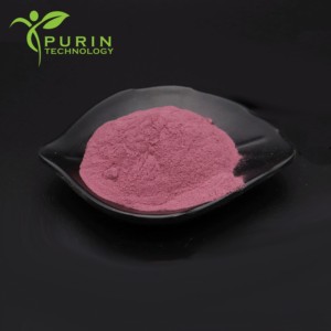 ผงเบอรี่บราซิลสกัดจากอาซาอิเบอร์รี่วัตถุดิบสำหรับเครื่องดื่มที่เป็นของแข็งผงเส้นใยผักและผลไม้ผงผลไม้ - Product Image 3