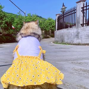 Robe à bretelles à taille haute pour <span class=keywords><strong>chien</strong></span> et chat, motif floral mignon, pour Teddy, Bichon, <span class=keywords><strong>Alaskan</strong></span> <span class=keywords><strong>Malamute</strong></span>, Golden Retriever, Samoyed, printemps/été - Product Image 5
