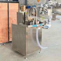 Automatische Kokosnoothalvings-En Kraakmachine Met Stripper En Dunschiller 220V Fruitverwerkingsapparatuur