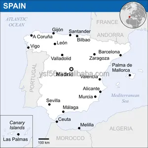 中国からスペインマドリードへのeppress貨物運送業者バルセロナセビリアマラガバレンシアサラゴサDDU/DAP配送業者