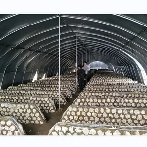 Mushroom growing greenhouse hemp agricultural green house for sale