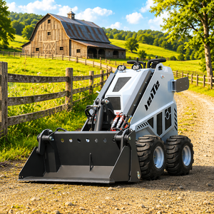China Factory Mini <b>Skid</b> <b>Steer</b> Track Construction Loaders Front End <b>for</b> <b>Sale</b> - Product Image 4