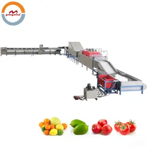 Automatic citrus fruit washing waxing drying and grading machine auto citrus cleaning, sorting line cheap price for sale