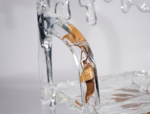 Table basse en acrylique transparent haut de gamme sur mesure OEM, service de découpe de <span class=keywords><strong>meubles</strong></span> transparents de la marque <span class=keywords><strong>BESTA</strong></span>, couleur jaune - Product Image 3