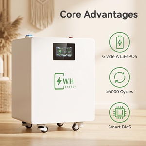 Batería Lifepo4 de 24V 314AH 8KWH 15kwh 16kwh, Batería Solar de Litio de 200ah 314Ah, Batería Life Po4 de 48v <span class=keywords><strong>5kw</strong></span> 300ah, Paquete de Baterías de 10000 Ciclos - Product Image 4