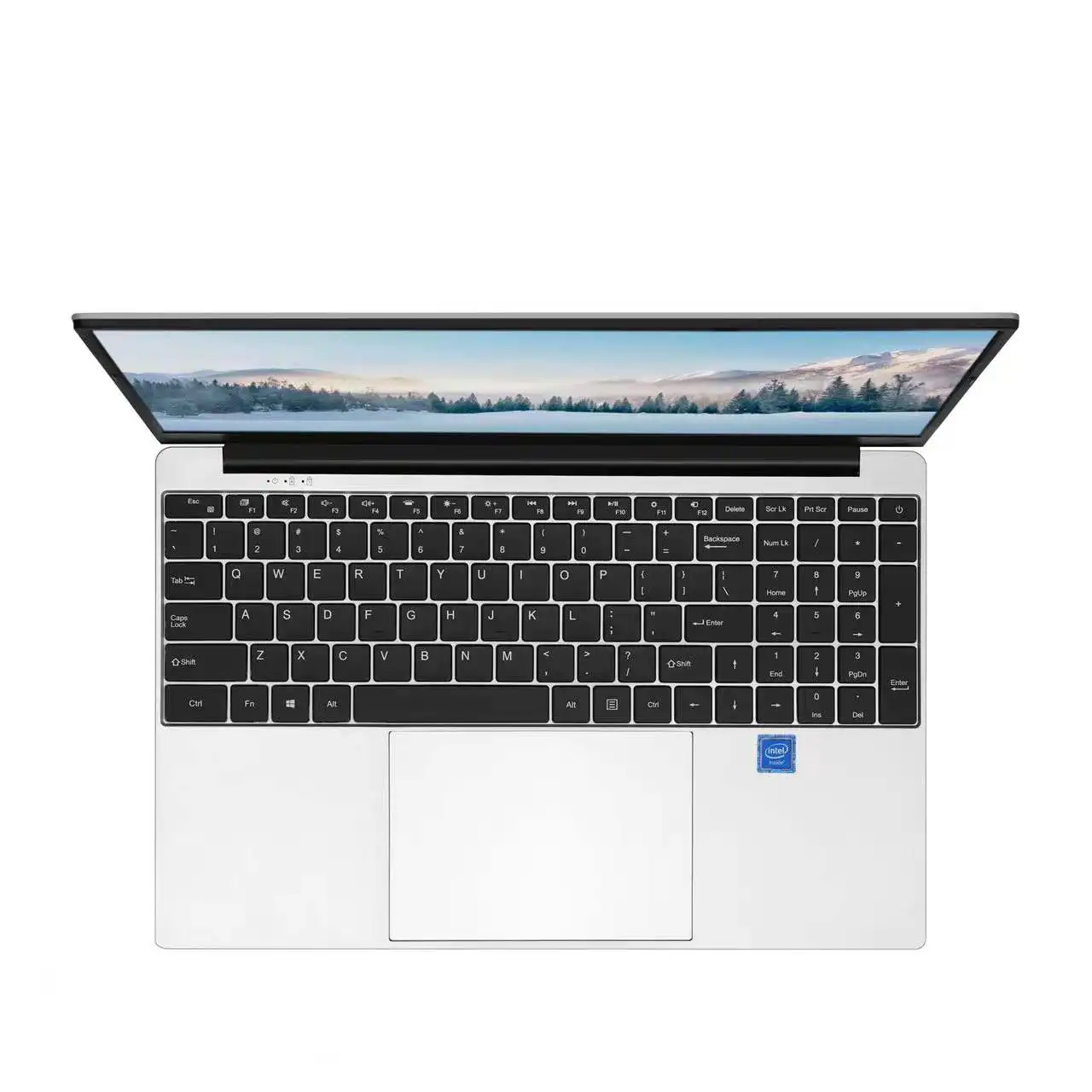 Fábrica fornecer diretamente netbook 15.6 polegadas, j4125 quad core ddr4 8gb ssd 256gb novo laptop win10 computador