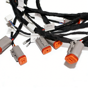 Aangepaste DT-serie waterdichte autoconnector DT04 12P mannelijk vrouwelijk automotive elektrische draadboom - Product Image 3