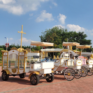รถลิมูซีนสำหรับงานศพในยุโรป รถม้าไฟฟ้าสำหรับงานศพ รถม้าลากสำหรับงานศพสำหรับขาย - Product Image 6