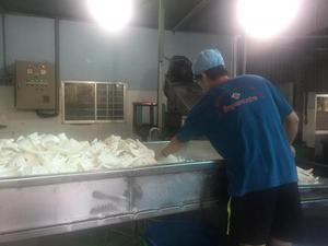 COCO DESECADO BAJO EN GRASA AL MEJOR PRECIO GRADO DE EXPORTACIÓN DE VIETNAM - Product Image 2