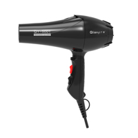 Sèche-cheveux professionnel ionique pour hôtel, diffuseur soufflant, machine de salon tout-en-un, souffleur électrique avec réglages chaud/froid, pour usage domestique et VR