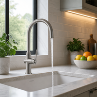 Robinet d'évier de cuisine en acier inoxydable brossé, monocommande avec douchette extractible, bec haut pivotant pour usage en restaurant et hôtel