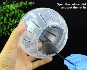 Bola de rueda deportiva de plástico colorido, rodillo transparente, de cristal para <span class=keywords><strong>Fitness</strong></span> juguete, oso dorado y hámster, suministros para mascotas, cubierta de bola para correr - Product Image 4