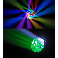 Nouveaux produits 2026 : Projecteurs LED 19x15W Bee Eyes RBGW 4-en-1 Zoom Wash Par, compatibles DMX512 pour discothèques, bars, boîtes de nuit et mariages