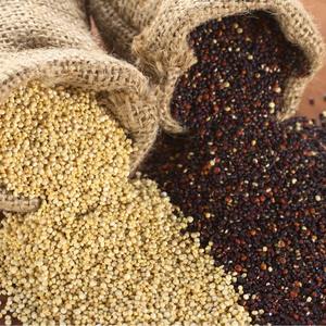 Nuovo raccolto tricolore Chenopodium <span class=keywords><strong>Quinoa</strong></span> Willd semi frutti per il cibo - Product Image 2