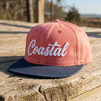 Gorras de Béisbol Personalizadas de 6 Paneles con Visera Plana y Curva, Ajustables, con Cierre a Presión, Logotipo Deportivo Común, Bordado 3D, 100% Poliéster, Corduroy