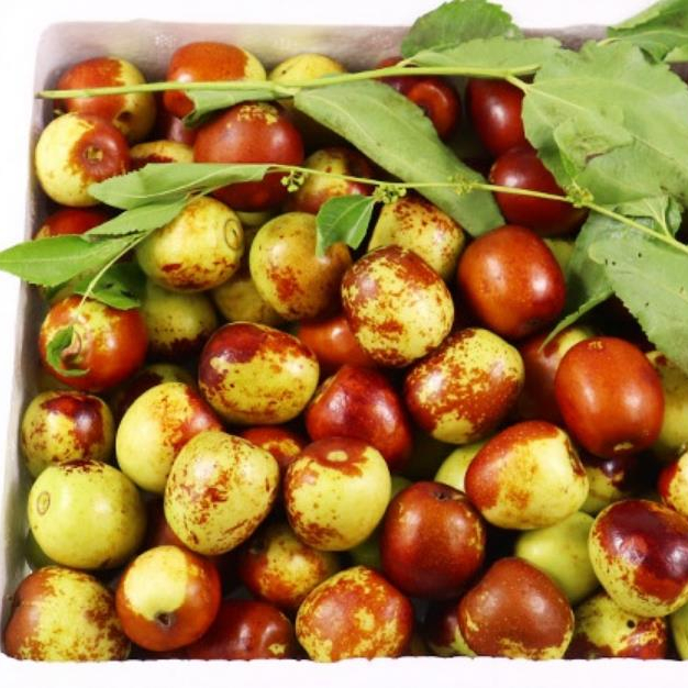 Новые высококачественные китайские специальные свежие фрукты jujube/Дешевые свежие сладкие даты Dongzao