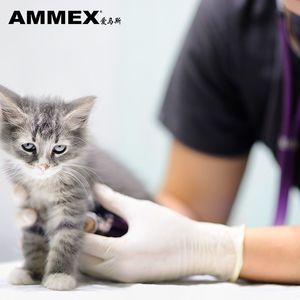 ถุงมือยางลาเท็กซ์แบบใช้แล้วทิ้ง Ammex ปราศจากแป้ง ผิวสัมผัสแบบมีลาย สำหรับใช้ในบ้านและอาหาร บรรจุ 100 ชิ้นต่อกล่อง - Product Image 4