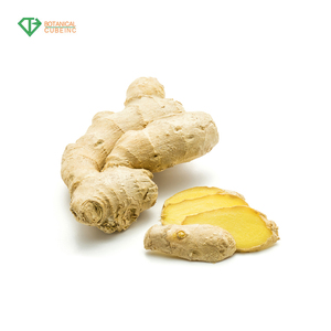 El mejor <span class=keywords><strong>precio</strong></span> y la entrega rápida orgánica fresca polvo de raíz de jengibre salvaje y extracto de raíz de jengibre 5% - Product Image 2