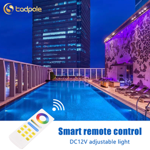RGB + CCT Full 2.4 Gam RF Hồ Bơi Ánh Sáng Dưới Nước Đèn Điều Khiển Từ Xa DC12V Cảm Ứng Điều Khiển Từ Xa - Product Image 3