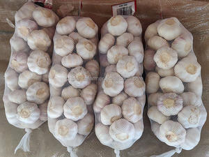 Nuovo raccolto fresco normale aglio bianco piccolo pacchetto prezzo all'ingrosso - Product Image 5