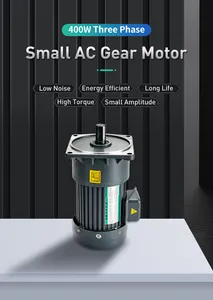 높은 토크 삼상 ac 모터 110v 220v 낮은 rpm 400W 작은 전기 1/2Hp 3 단계 AC 감소 모터