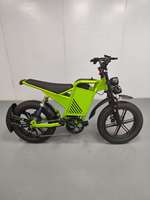 Vélo électrique de style vintage, pneus larges de 20 pouces, 500W, 48V16Ah, autonomie de 40-50 km, frein à disque, tout-terrain, couleur personnalisée