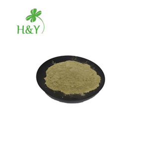 Tedarik yüksek kalite zeytin yaprağı özü 20% 70% Oleuropein - Product Image 2