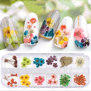 Fleur séchée pour les ongles, 1 boîte, 3D, vernis à ongles <span class=keywords><strong>Gel</strong></span> UV, naturel, autocollants de fleurs séchées - Product Image 2
