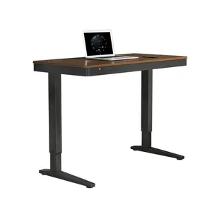 Cheap Easy To Install Home Office Furniture Table Lift Ergonomic Electric Height Adjustable Computer Standing Desk