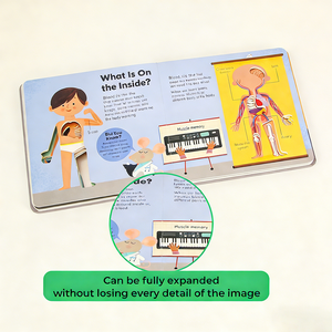 印刷厂定制中国廉价全彩精装平装儿童图书印刷 - Product Image 4