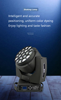 19*15w lumière principale mobile Zoom lumière LED Zoom lavage tête mobile peut un par un contrôle 19pcs DJ lumières mobiles