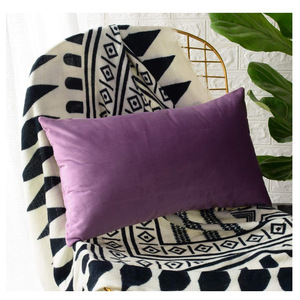 Cojines y fundas de almohada de terciopelo hechos a medida, cojines de asiento y respaldo de color liso, fundas para cojines de coche, almohada - Product Image 5