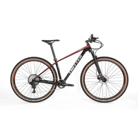 20206 NOUVEAU Vélo de montagne en fibre de carbone à vitesse unique OEM Nx-11