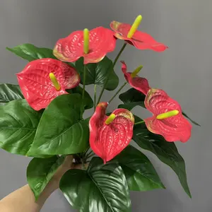 Losse Bloem Kunstbloem Anthurium Bruiloft Decoratie Mooie Rode En Champagne Rose