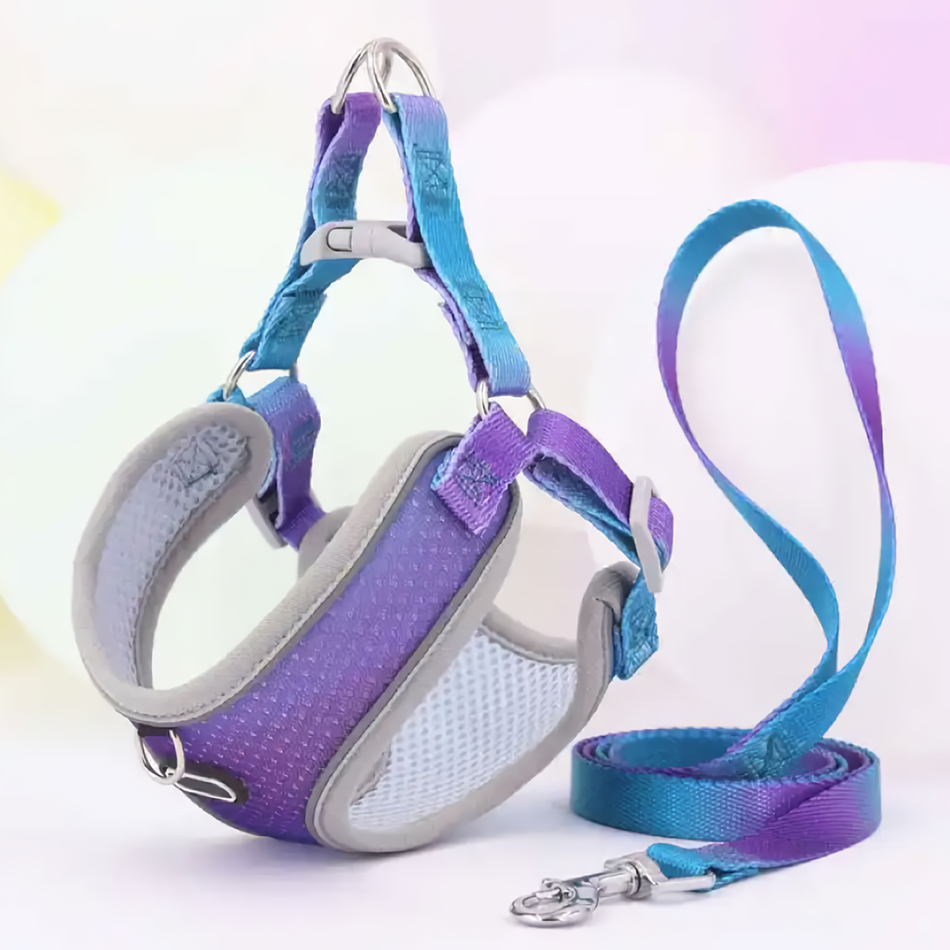Violet profond