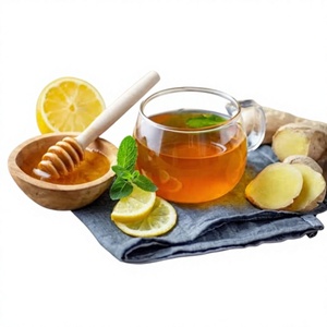 Auténtico Té de Jengibre Orgánico a Base de Hierbas con Piel de Limón y Especias Cálidas, Bolsitas de Té Cuidadosamente Seleccionadas, Daily Bota - Product Image 1