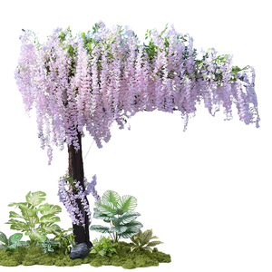 how long does it take for bonsai trees to grow Grow Your Own Bonsai Tree Kit