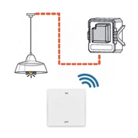 Module de relais intelligent Tuya Zigbee 10A, directement de l'usine, RoHS CE, avec télécommande auto-alimentée