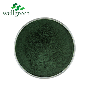 Wellgreen Naturel À Base De Plantes Plante Mûrier Extrait De Feuille 95% Sodium Cuivre Chlorophylline Poudre - Product Image 2