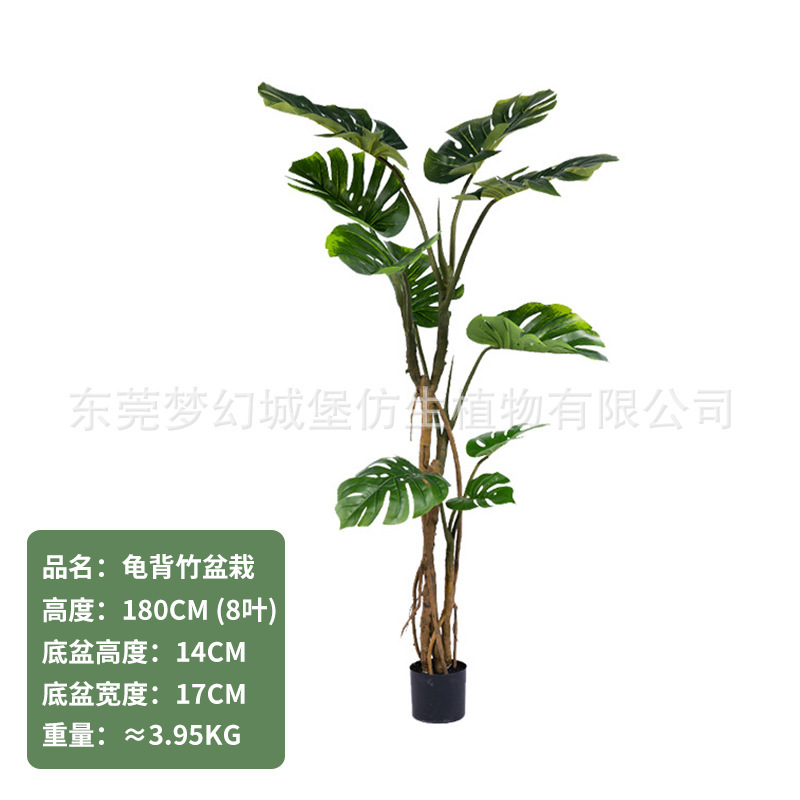 Monstera délicieuse 180CM