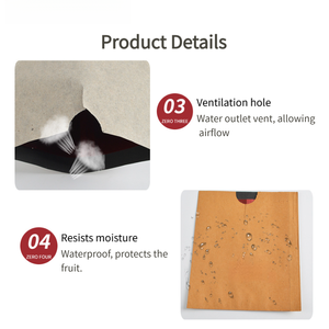 Sacchetti di Carta Cerata per Protezione Frutta con Strato Interno Rosso per Colorazione Migliorata in Piccoli Frutteti e Aziende Agricole Familiari - Product Image 4